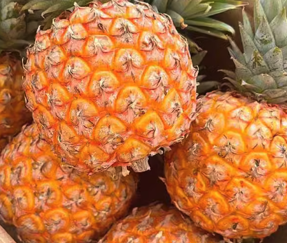 菠萝芒果
